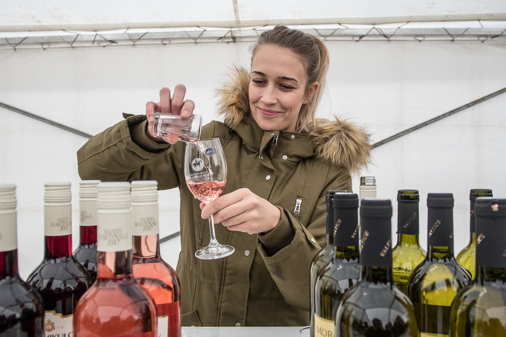 Můžete ochutnávat z pestré nabídky mnoha vinařství.