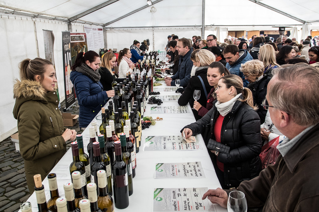 Svatomartinské se otevírá 11. listopadu v 11 hodin. Vzhledem k tomu, že tento den letos připadl na sobotu, bylo na zahájení opravdu narváno.