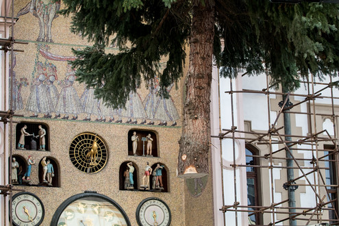 Strom na náměstí dorazil v neděli ve čtvrt na dvanáct. Krátce po půl už byl usazen.