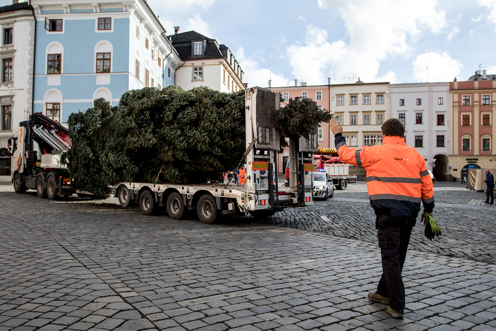 Cesta vánočních stromů na Horní náměstí bývala v minulosti dosti komplikovaná. Musely se zvedat troleje, často bránila v cestě zaparkovaná auta... Letos ale vše proběhlo hladce.