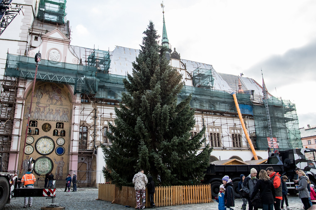 Strom teď budou pracovníci specializované firmy zdobit. Mají na to dva týdny.