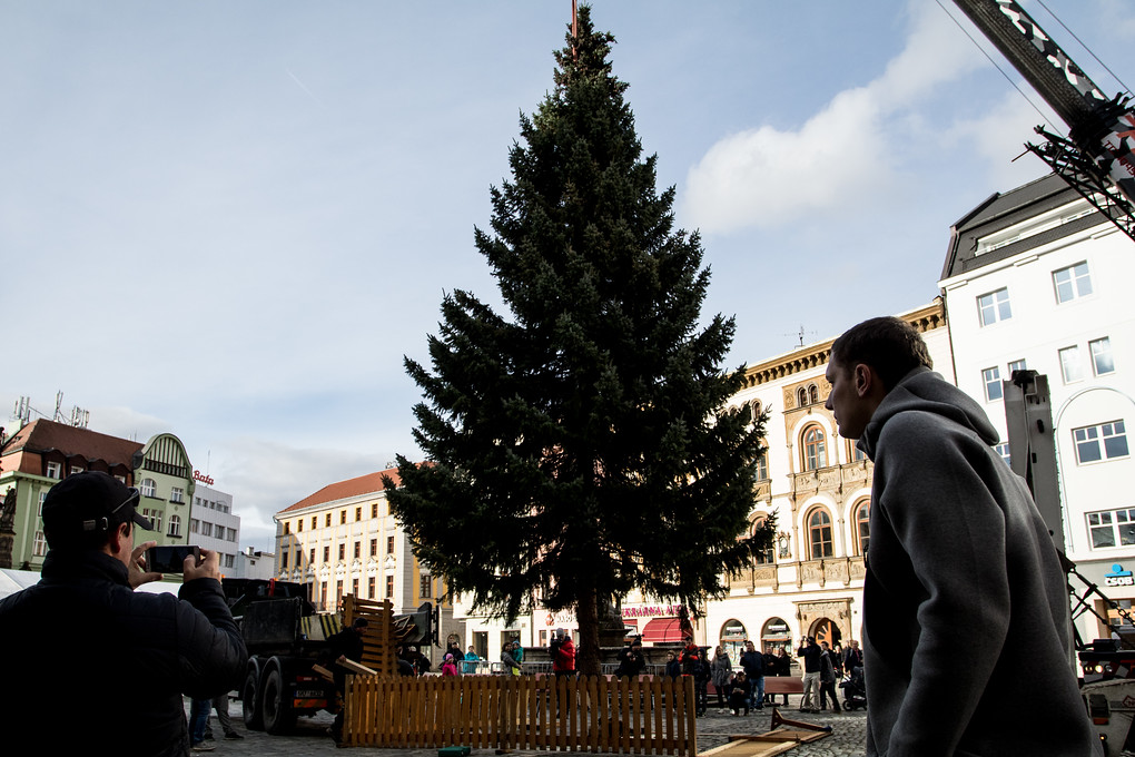 Zlí jazykové se ušklíbají, že do Vánoc je ještě hodně daleko. Olomouc však není jediným městem, kde už strom stojí. Dnes ho instalují třeba i v Plzni.