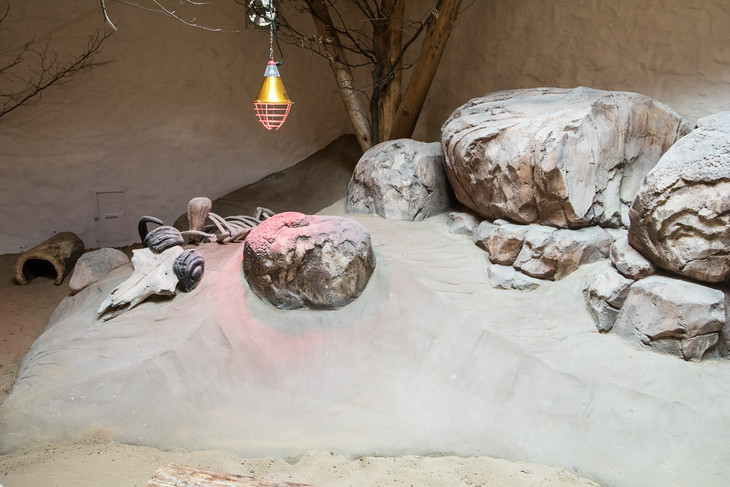 Návštěvníci se přenesou do horkého klimatu africké pouště. A to téměř doslova. Uvnitř se udržuje příjemné teplo.