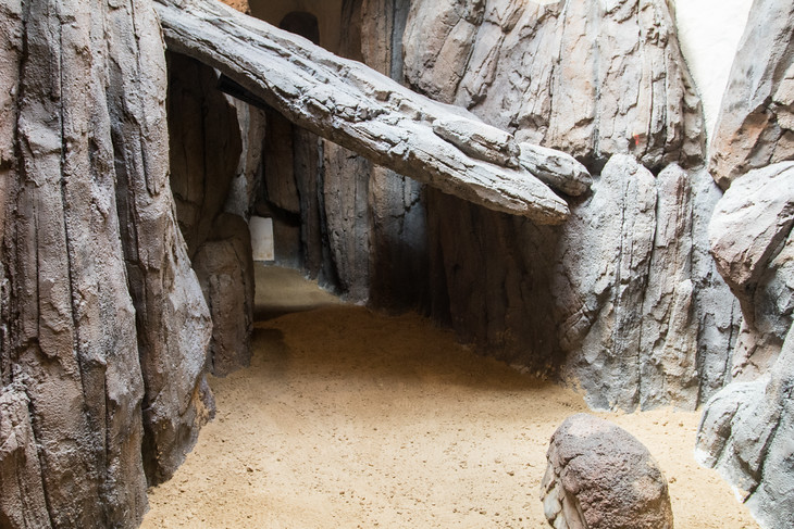 Noví obyvatelé tu najdou příjemné prostředí, které jim bude připomínat jejich domovinu.