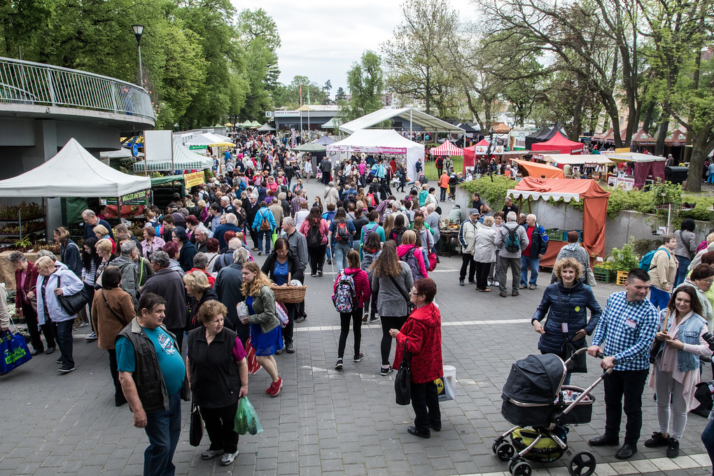 Flora se jako vždy těší velké návštěvnosti...